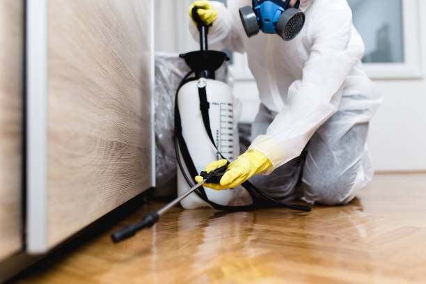 Best Wasp Removal Services  in Chuluota, FL