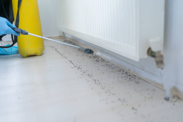 Best Residential Pest Control  in Chuluota, FL