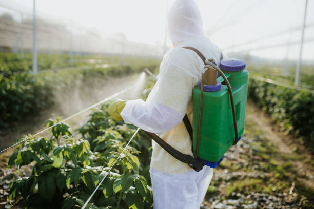 Best Pest Control for Restaurants  in Chuluota, FL